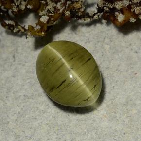 9,17 ctw natürlicher Erdiges Grün Katzenaugen-Apatit, Oval Schliff, Lichtdurchlässig