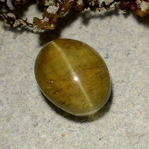 2.50ct Natürlicher gelb-braun Apatit-Katzenauge, Oval, Lichtdurchlässig