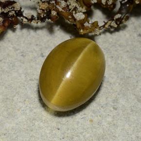 9,17 ctw natürlicher Golden Katzenaugen-Apatit, Oval Schliff, Lichtdurchlässig