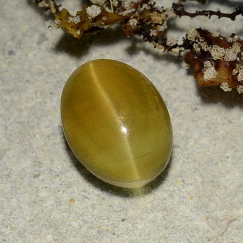 2,68 ctw natürlicher gelber Cat's Eye Apatite, Oval Schliff, Lichtdurchlässig