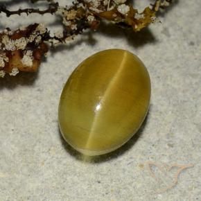 2,68 ctw natürlicher gelber Cat's Eye Apatite, Oval Schliff, Lichtdurchlässig