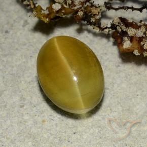 2,68 ctw natürlicher gelber Cat's Eye Apatite, Oval Schliff, Lichtdurchlässig