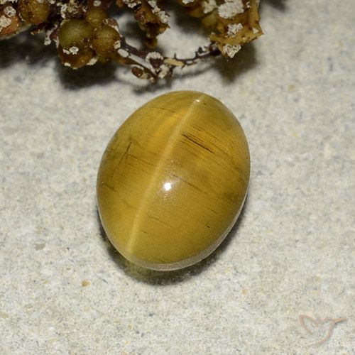 2.82ct Natürlicher gelb-braun Apatit-Katzenauge, Oval, Lichtdurchlässig