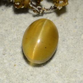 2,57 ctw natürlicher gelber Cat's Eye Apatite, Oval Schliff, Lichtdurchlässig