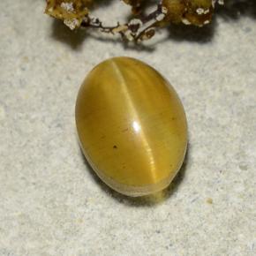 2,57 ctw natürlicher gelber Cat's Eye Apatite, Oval Schliff, Lichtdurchlässig