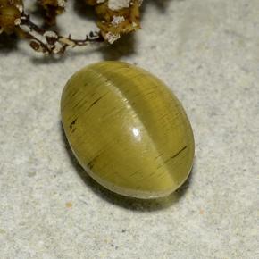 2,83 ctw natürlicher goldener Cat's Eye Apatite, Oval Schliff, Lichtdurchlässig