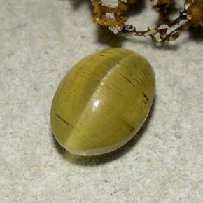 2,83 ctw natürlicher goldener Cat's Eye Apatite, Oval Schliff, Lichtdurchlässig