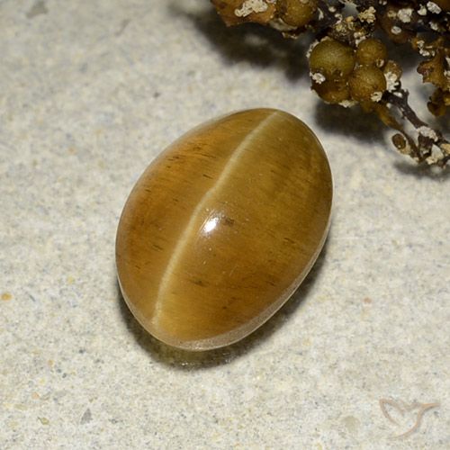 3.48ct Natürlicher gold-braun Katzenaugen-Apatit, Oval, Lichtdurchlässig