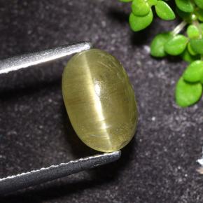 9,17 ctw natürlicher Neutrales Gelb Katzenaugen-Apatit, Oval Schliff, Lichtdurchlässig