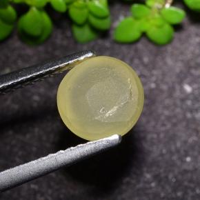 9,17 ctw natürlicher Erdiges Gelb Katzenaugen-Apatit, Rund Schliff, Lichtdurchlässig