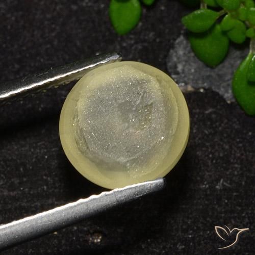 9,17 ctw natürlicher Neutrales Gelb Katzenaugen-Apatit, Rund Schliff, Transparent