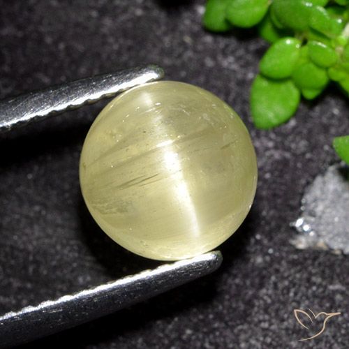3.41ct Natürlicher Mittelgelb Apatit-Katzenauge, Runden, Lichtdurchlässig