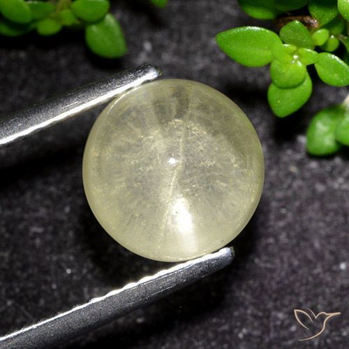 3.48ct Natürlicher Blasses Gelb Apatit-Katzenauge, Runden, Transparent