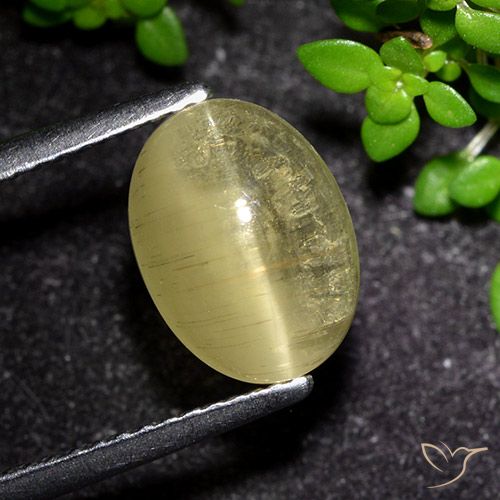 3.09ct Natürlicher Mittelgelb Apatit-Katzenauge, Oval, Transparent