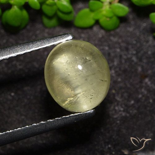 2.34ct Natürlicher Neutrales Gelb Apatit-Katzenauge, Oval, Transparent