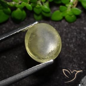9,17 ctw natürlicher Neutrales Gelb Katzenaugen-Apatit, Oval, Transparent