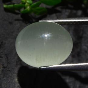 7,13 ctw natürlicher grüner Cat's Eye Aquamarine, Oval Schliff, Lichtdurchlässig