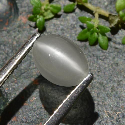 9,17 ctw natürlicher Warmweiß Mondstein Katzenauge, Oval, Lichtdurchlässig