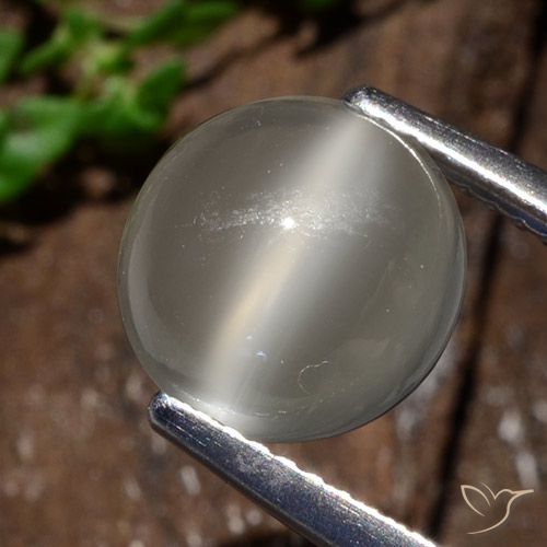 3.25ct Natürlicher Warmweiß Mondstein Katzenauge, Runden, Lichtdurchlässig
