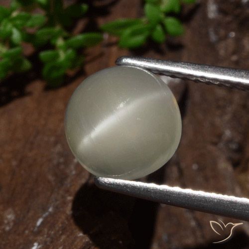 2.30ct Natürlicher hellgelb Mondstein Katzenauge, Runden, Lichtdurchlässig