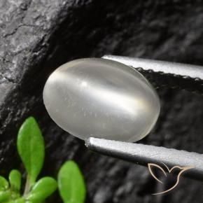 9,17 ctw natürlicher Weiß Mondstein Katzenauge, Oval Schliff, Transparent