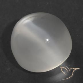 9,17 ctw natürlicher Weiß Mondstein Katzenauge, Runden, Transparent