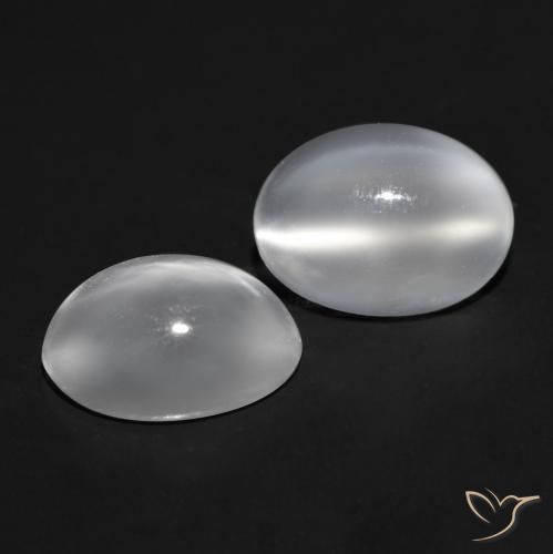 1.48 ct natürliche Weiß Mondstein Katzenauge-Edelsteine, Oval, Transparent