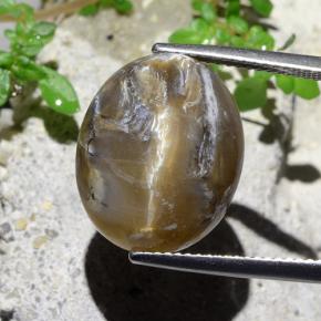 9,17 ctw natürlicher hellbraun Katzenaugenopal, Oval Schliff, Lichtundurchlässig