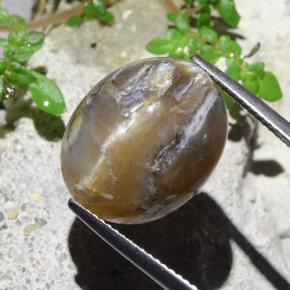 9,17 ctw natürlicher hellbraun Katzenaugenopal, Oval Schliff, Lichtundurchlässig