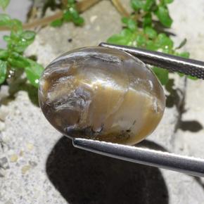 9,17 ctw natürlicher hellbraun Katzenaugenopal, Oval Schliff, Lichtundurchlässig