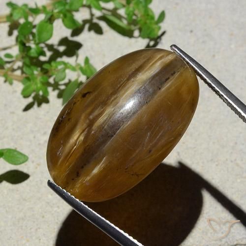 9,17 ctw natürlicher Pekannussbraun Katzenaugenopal, Oval, Lichtdurchlässig