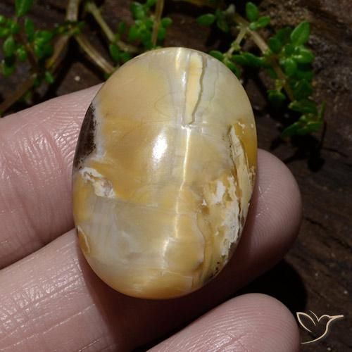 31.48ct Natürlicher Mehrfarbig Katzenaugenopal, Oval, Lichtundurchlässig