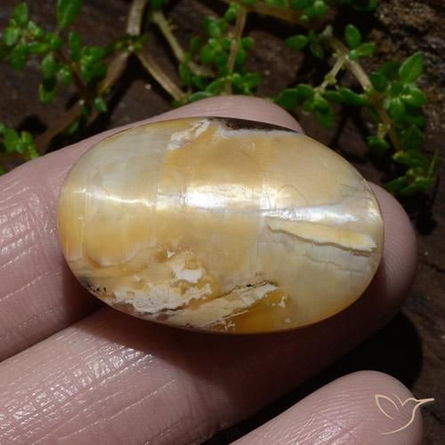 9,17 ctw natürlicher Mehrfarbig Katzenaugenopal, Oval, Lichtundurchlässig