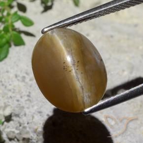 9,17 ctw natürlicher Mittel braun Katzenaugenopal, Oval, Lichtdurchlässig