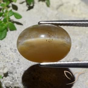 9,17 ctw natürlicher Mittel braun Katzenaugenopal, Oval, Lichtdurchlässig