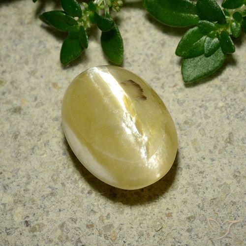 3.65ct Natürlicher Cremegelb Katzenaugenopal, Oval, Lichtundurchlässig