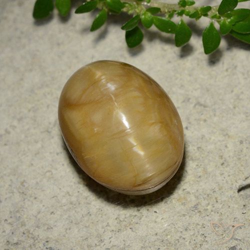 5.46ct Natürlicher Golden Katzenaugenopal, Oval, Lichtundurchlässig