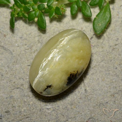 4.81ct Natürlicher Bananengelb Katzenaugenopal, Oval, Lichtundurchlässig