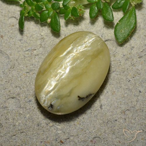 5.04ct Natürlicher Bananengelb Katzenaugenopal, Oval, Lichtundurchlässig