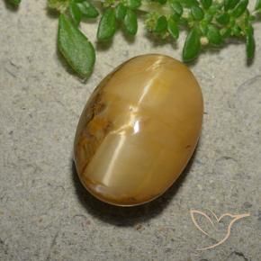 9,17 ctw natürlicher gold-braun Katzenaugenopal, Oval, Lichtundurchlässig