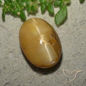9,17 ctw natürlicher gold-braun Katzenaugenopal, Oval, Lichtundurchlässig