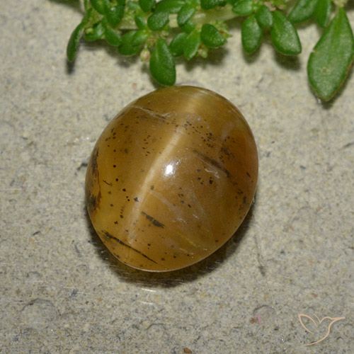 3.94ct Natürlicher gold-braun Katzenaugenopal, Oval, Lichtdurchlässig