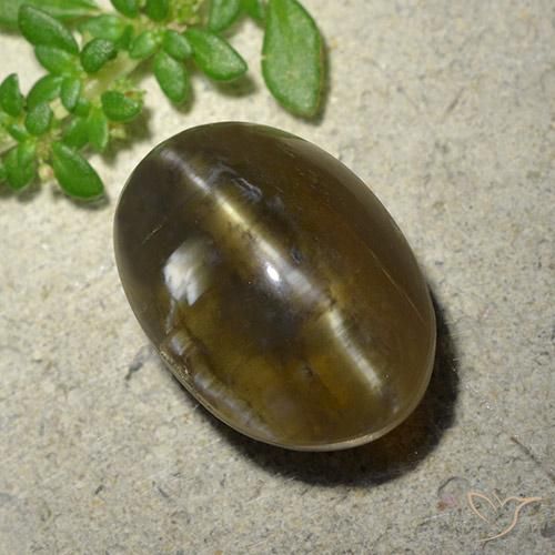 9.59ct Natürlicher Mittel-Dunkelbraun Katzenaugenopal, Oval, Lichtdurchlässig