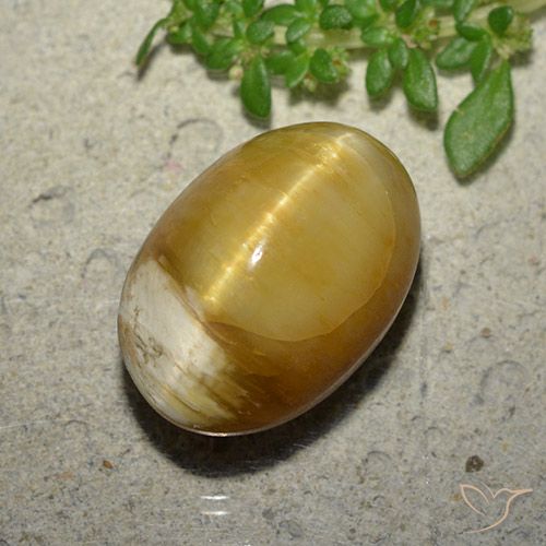 10.46ct Natürlicher Golden Katzenaugenopal, Oval, Lichtundurchlässig