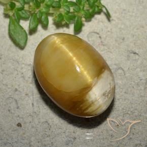 9,17 ctw natürlicher Golden Katzenaugenopal, Oval, Lichtundurchlässig