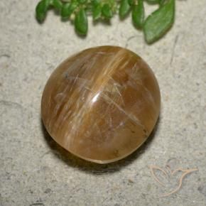9,17 ctw natürlicher Erdiges Braun Katzenaugenopal, Oval, Lichtdurchlässig