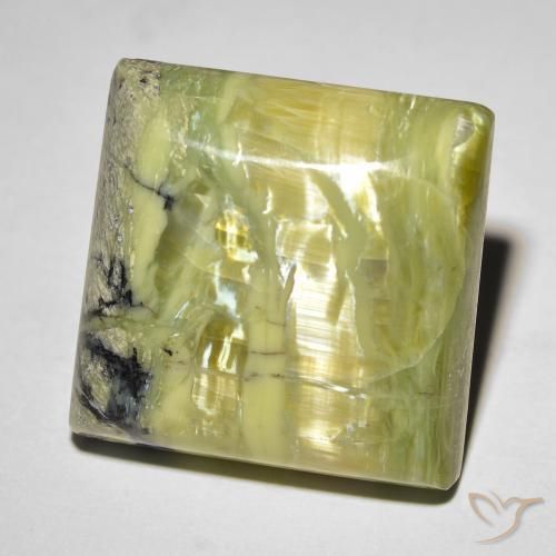 18.31ct Natürlicher Mittelgrün Katzenaugenopal, Quadrat, Lichtundurchlässig