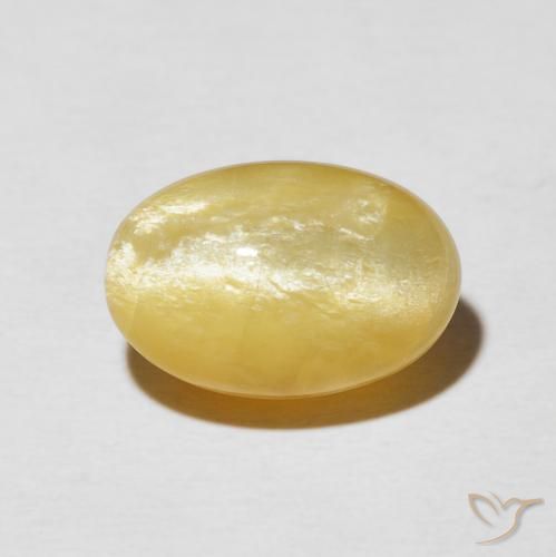 6.04ct Natürlicher Mittleres Gold Katzenaugenopal, Oval, Lichtundurchlässig