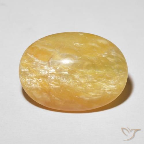 19.78ct Natürlicher Mittleres Gold Katzenaugenopal, Oval, Lichtundurchlässig, Photo A