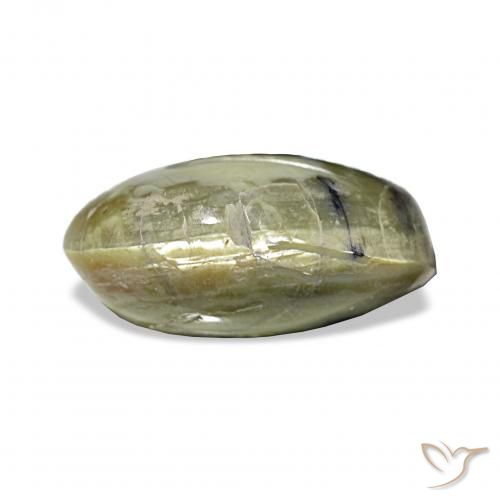 3.02ct gelblich-grün Katzenaugenopal, Oval, Lichtundurchlässig